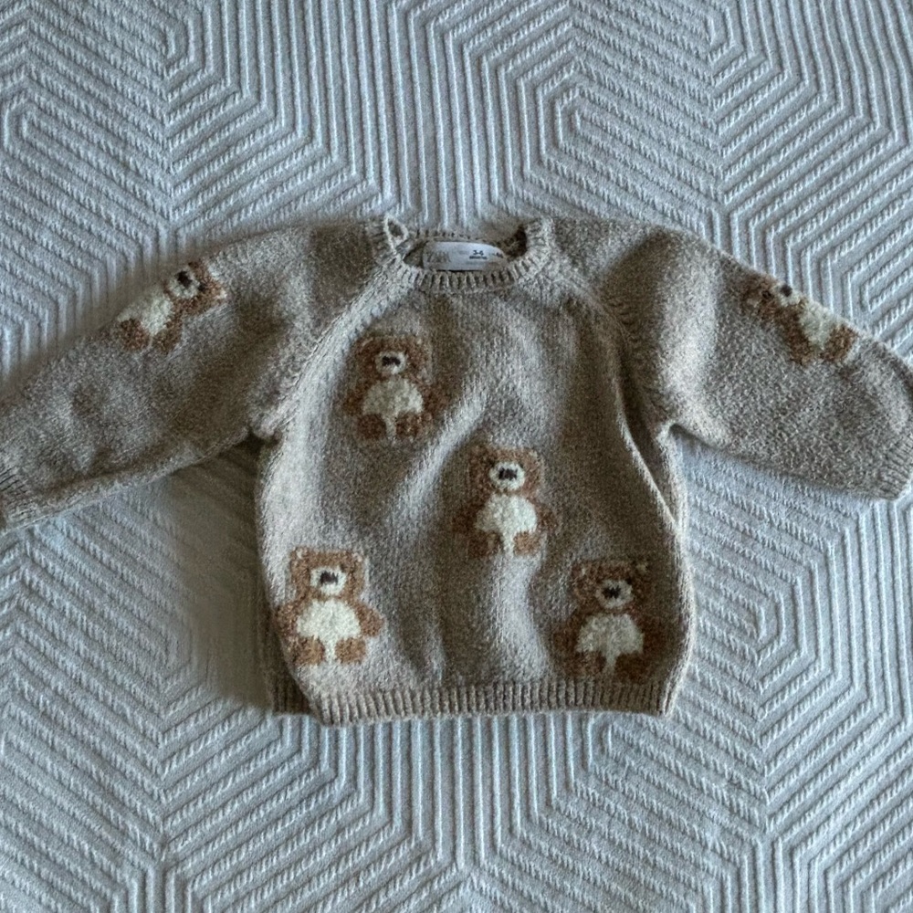 Zara teddy sweater